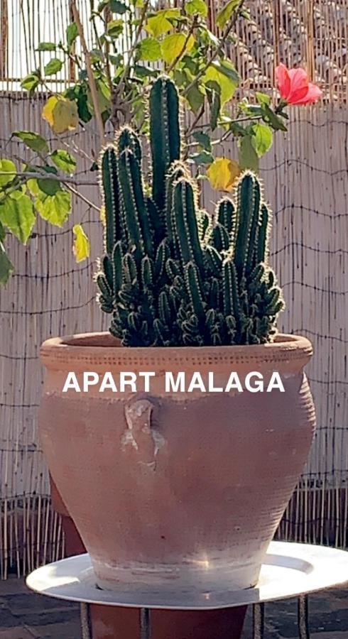 Appartement Plein Cœur Centre Historique de Málaga Extérieur photo